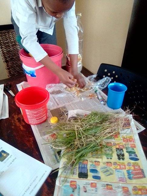 Community garden activities